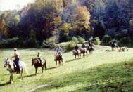 Horse back riding near franklin nc