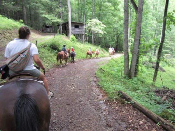 Fern Forest Trail