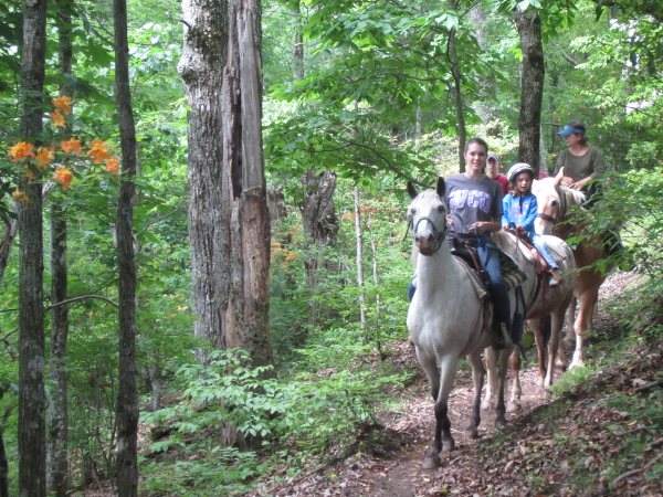 Trail Rides near Andrews NC